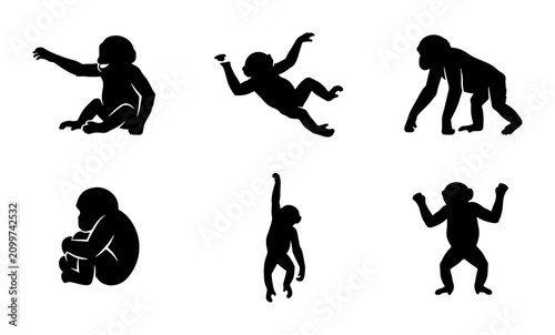 Canvas Print 70 Chimpanzee Silhouette Vector Pack: Six Primate Poses, Jungle Wildlife Graphic