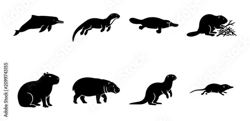 Photography 70 Diverse Semi-Aquatic Mammal Silhouettes Collection: Dolphin, Otter, Platypus,
