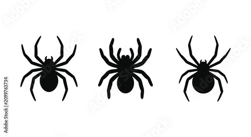Foto Black Spider Silhouettes On White Background Three Insect Shapes