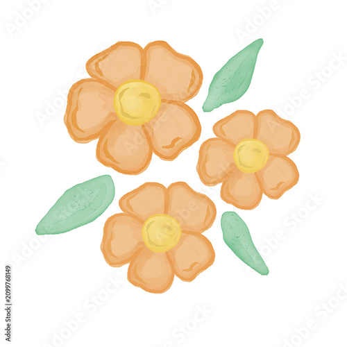 Watercolor peach colored flowers illustration 