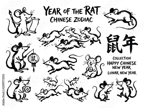 Traditional Chinese zodiac Year of the Rat ink brush calligraphy sketch vector on white.