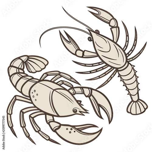 Quadro su tela Two beige lobsters or crayfish in a hand drawn style, detailed marine crustacean