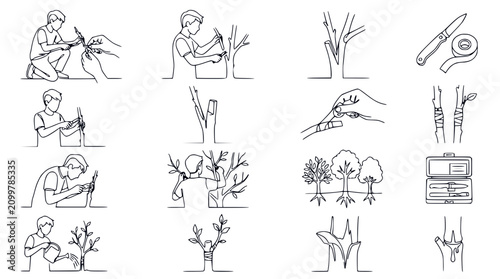 Foto Tree Grafting Techniques: Step-by-Step Illustrations of Plant Propagation and Ho