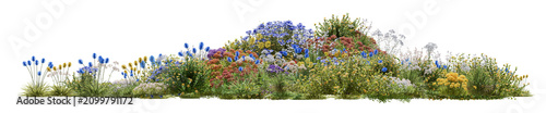 Vibrant summer wildflower border with colorful blossoms isolated on a transparent background, perfect for landscape design, gardening, and creative overlay compositions, Png and 3d rendering
