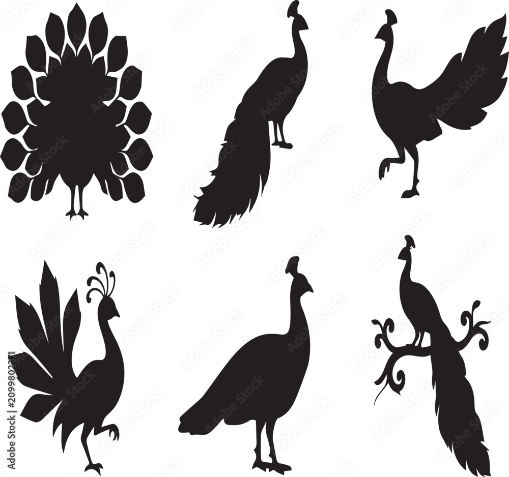 Obraz premium Set of Minimalist Black and White Peacock Silhouettes Featuring Various Elegant Poses and Feather Displays. 