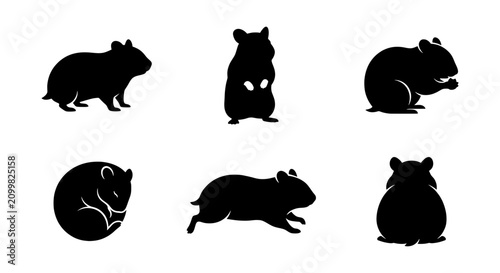 Фотография Hamster Silhouettes Set, Rodent Vector Icons, Cute Pet Animal Poses, Black and W