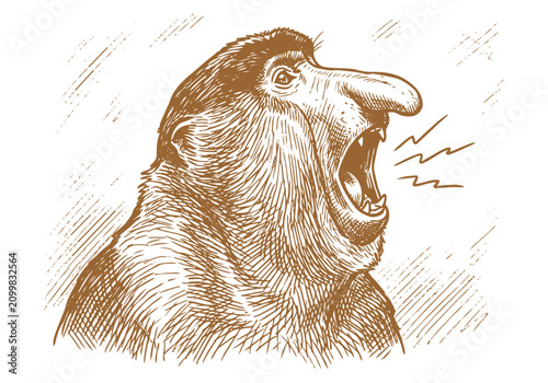 Photography Vintage Proboscis Monkey Vector Illustration Hand Drawn Borneo Primate Wildlife
