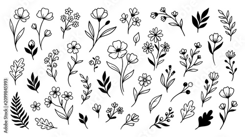 Quadro su tela Hand Drawn Botanical Floral Elements Collection with Detailed Line Art Flowers