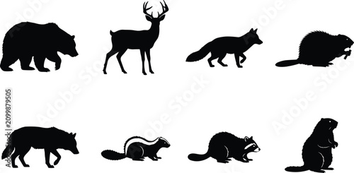 Photography Silhouette Collection of North American Wildlife Including Bear, Deer, Fox, Wolf