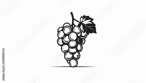 Fotografie Bunch of grapes with leaf.