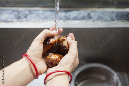 Indian female hands washing boiled taro roots in kitchen sink