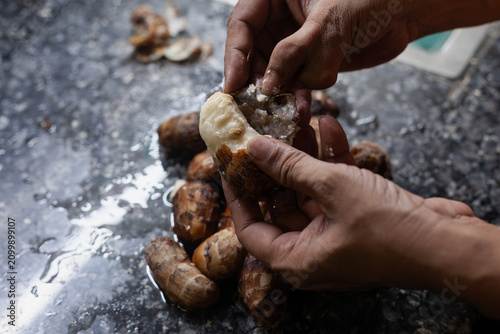 Indian female hands peeling boiled taro root for cooking