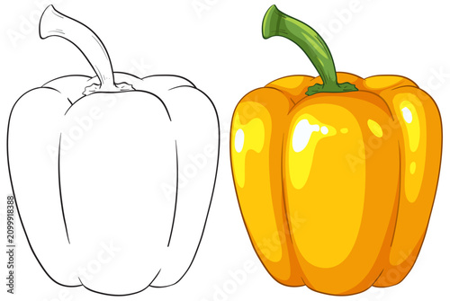 Yellow Bell Pepper Vector Illustration with Outline and Colored Version