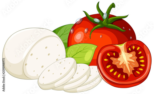 Vector Illustration of Fresh Mozzarella Cheese Tomato and Basil Leaves