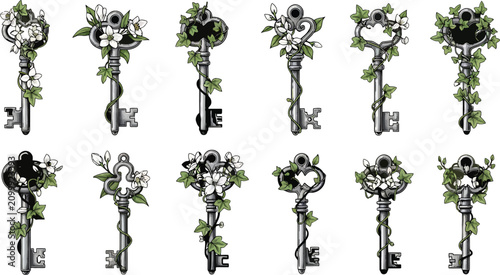 Set of vintage ornate keys decorated with climbing ivy and white flowers isolated on white background vector