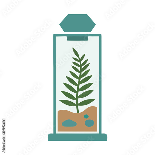 Terrarium with Plant and Rocks