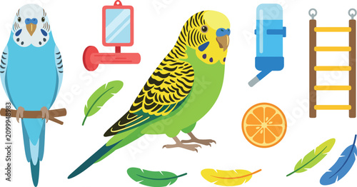 Photos Cute flat vector design of parakeet budgerigar pets with cage accessories water
