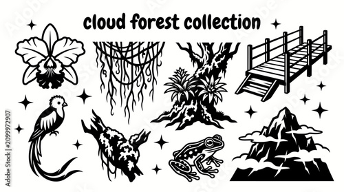 Tableau sur toile cloud forests featuring mist covered mountains mossy trees orchids hanging vines