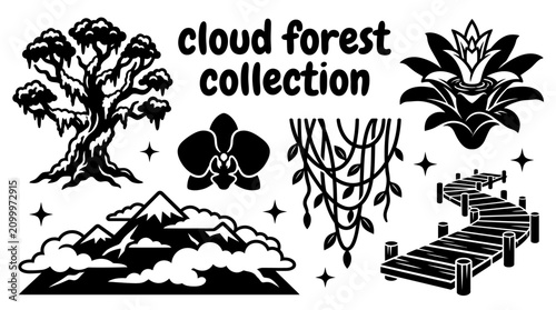 Canvastavla cloud forests featuring mist covered mountains mossy trees orchids hanging vines