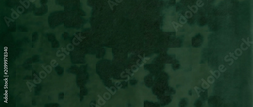 Fotografía Camouflage texture background displaying a deep forest green surface with blotch