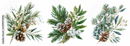 Konstfotografi Watercolor winter bouquets featuring natural forest elements like pine branches,