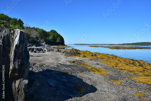 Freeport Maine Coastal Island with Rocky Tidal Shoreline Scene