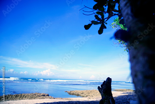 Canvas Print Peaceful Tropical Beach with Clear Blue Sky and Ocean Waves