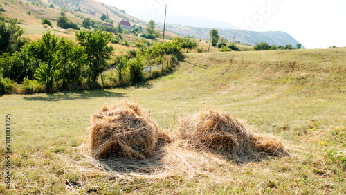 Photos Piles of Dry Hay in a Sunny Rural Meadow