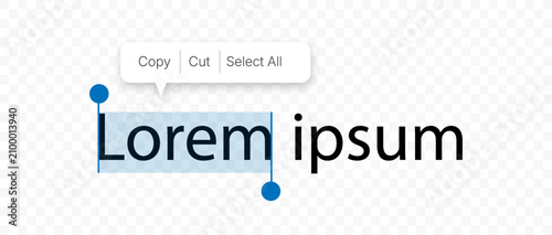 Selected Text With Copy, Cut and Select All Context Menu Isolated on Transparent Background