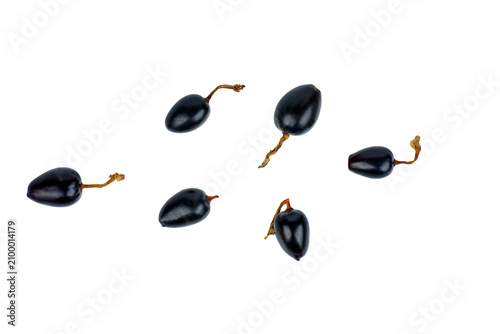 Gooseberry and black currant hybrid (Josta) isolated on white background