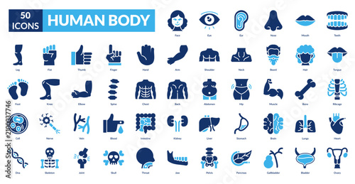 Human Body Fill Icon Set. Face, Eye, Ear, Nose, Mouth, Teeth, Tongue