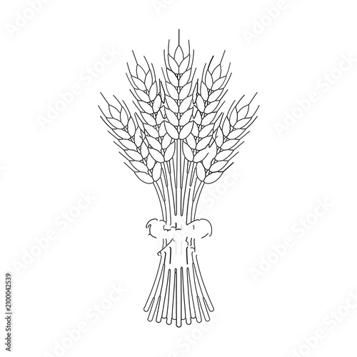 Black and white wheat bundle vector line art illustration agricultural grain stalks outline isolated on white background simple cereal plant icon for bakery logo design