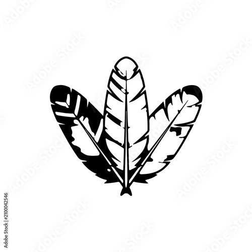 Decorative tribal feathers vector graphic with detailed black line patterns and boho style isolated on white background beautiful symbolic bird wings for printing and logo
