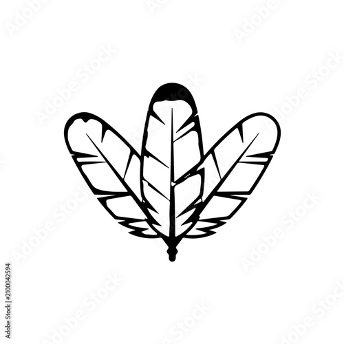 Three detailed feathers vector illustration with elegant black outline and tribal pattern isolated on white background majestic bird feather silhouette for boho design