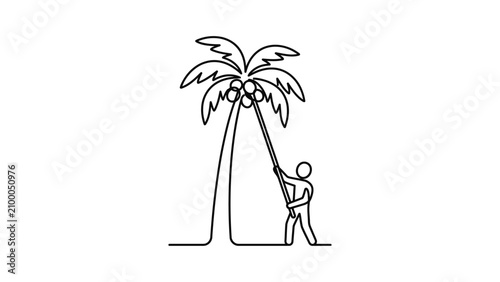 Man Harvesting Coconuts From Palm Tree Using Stick Line Art
