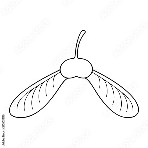 Foto Elegant Maple Samara Vector Illustration, Refined Hand-Drawn Line Icon with Symm