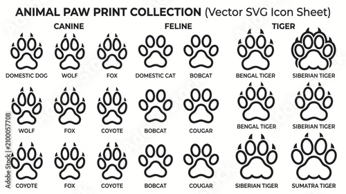 Photography Animal Paw Prints Vector Icon Collection