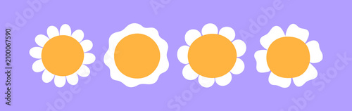 Daisy flowers, top above view. Summer chamomile blossoms, head with white pet...