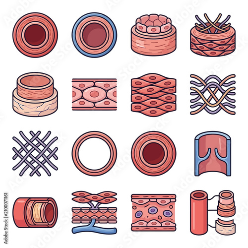Detailed illustrations of various human and animal biological tissues and cellular structures.