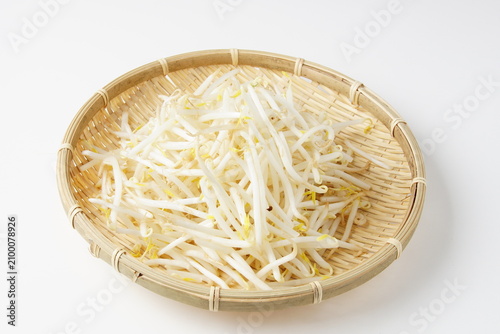 Fotografía もやし食材