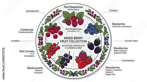 Cuadro en lienzo Mixed Berry Fruit Collection with Nutritional Benefits - Healthy Eating
