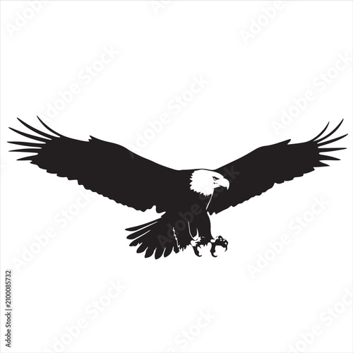 Tableau sur toile Flying Bald Eagle Black Silhouette Vector Bird of Prey SVG Illustration