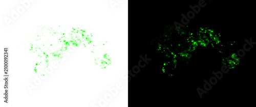 Fotografía Abstract green moss texture cutout on white background, natural foliage alpha ma