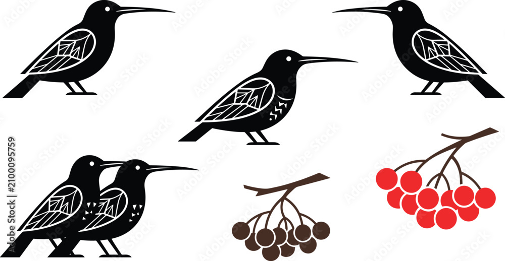 Obraz premium Black bird silhouettes set with decorative patterned wings and rowan berry branches isolated on white background vector collection