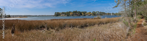 Quadro su tela Wide coastal marsh beneath a pale blue sky