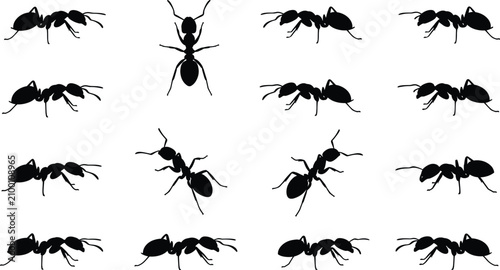 Foto Silhouettes of ants arranged in grid pattern showing different orientations for