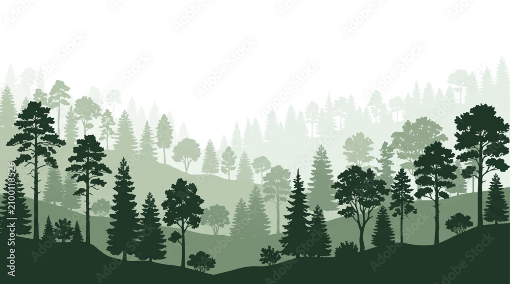 Fototapeta premium Panoramic Forest Landscape Silhouette with Layered Pine Trees