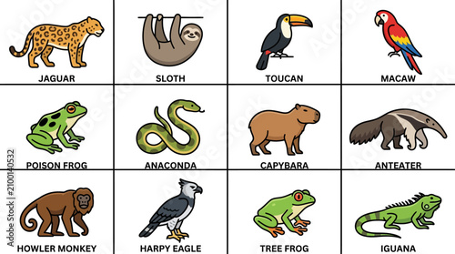 Foto Amazon Rainforest Animals Collection: Jaguar, Sloth, Toucan, Macaw, Frogs, Snake