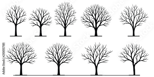 Leafless Tree Silhouette Collection with Bare Branches Isolated on White Background