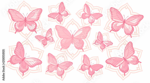 Pink butterfly illustration with mandala patterns on white background